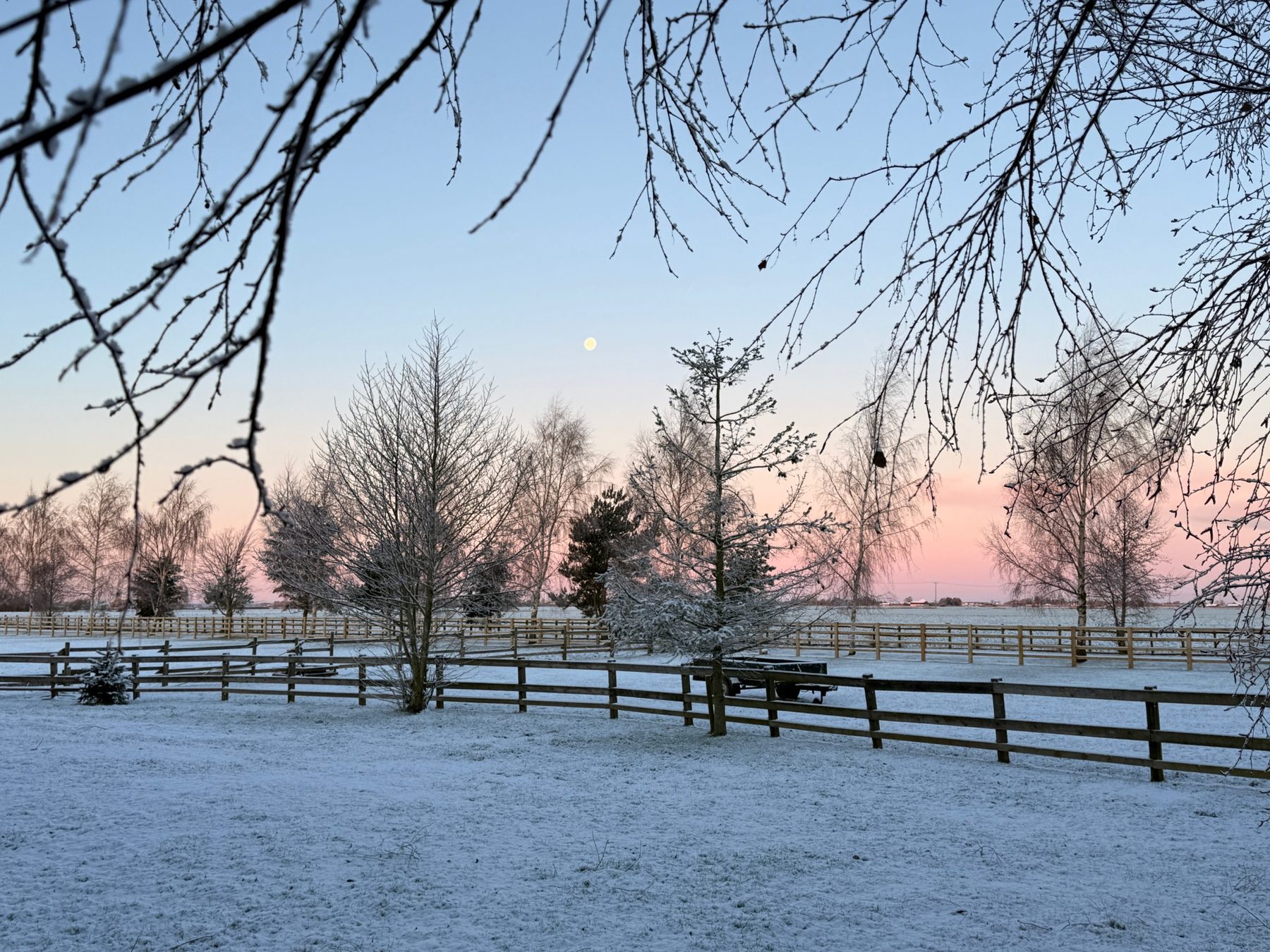 Horse at sunset at White House Farm